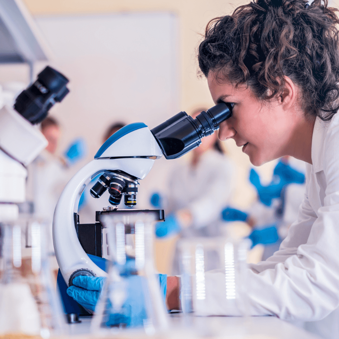 indigo-research-program05