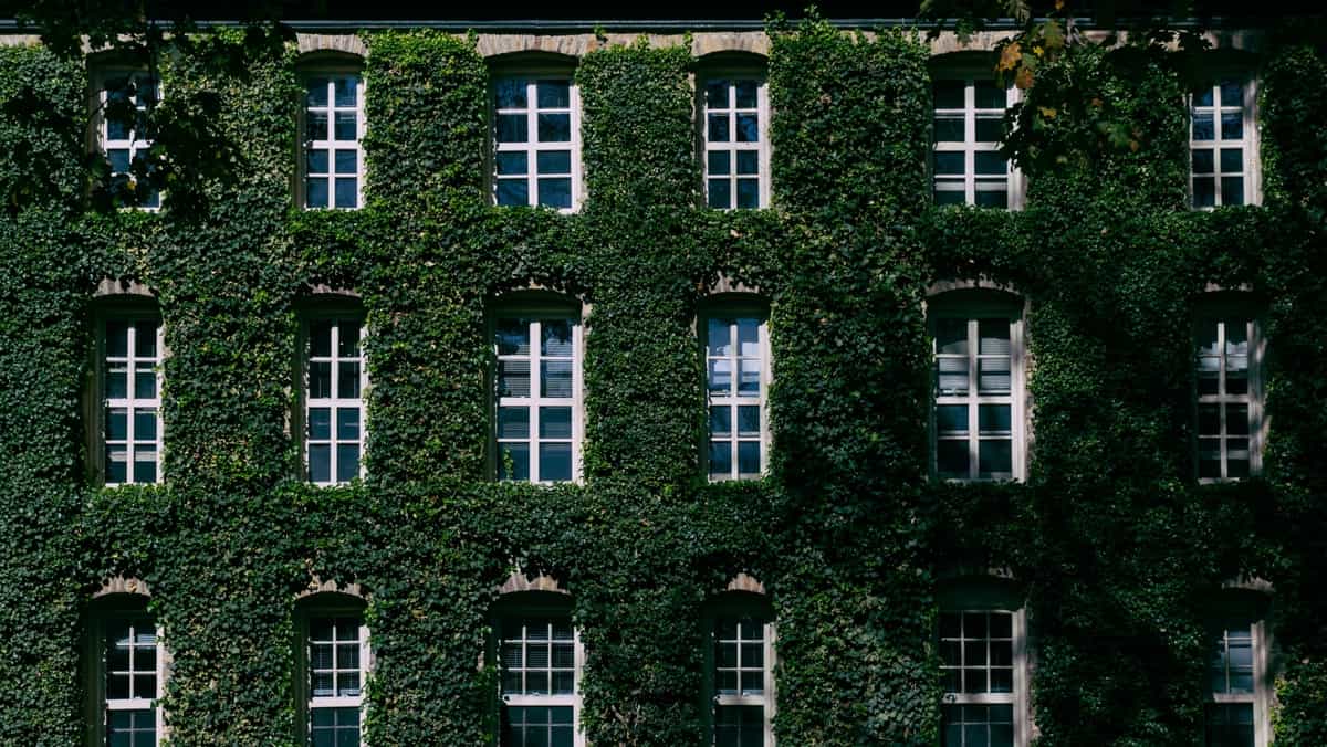 Early Decision Acceptance Rates: What the Class of 2030 Reveals About Binding Early Admissions