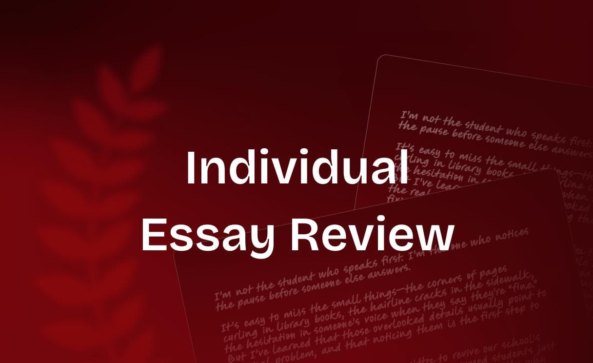 individual-essay-review