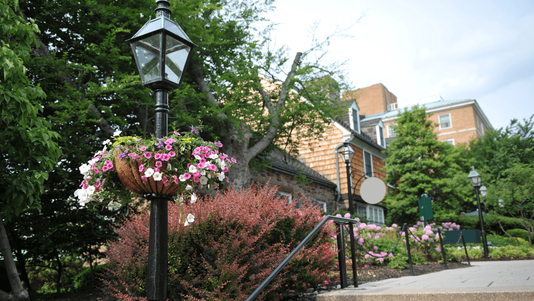 Princeton University's Acceptance Results for the Class of 2029