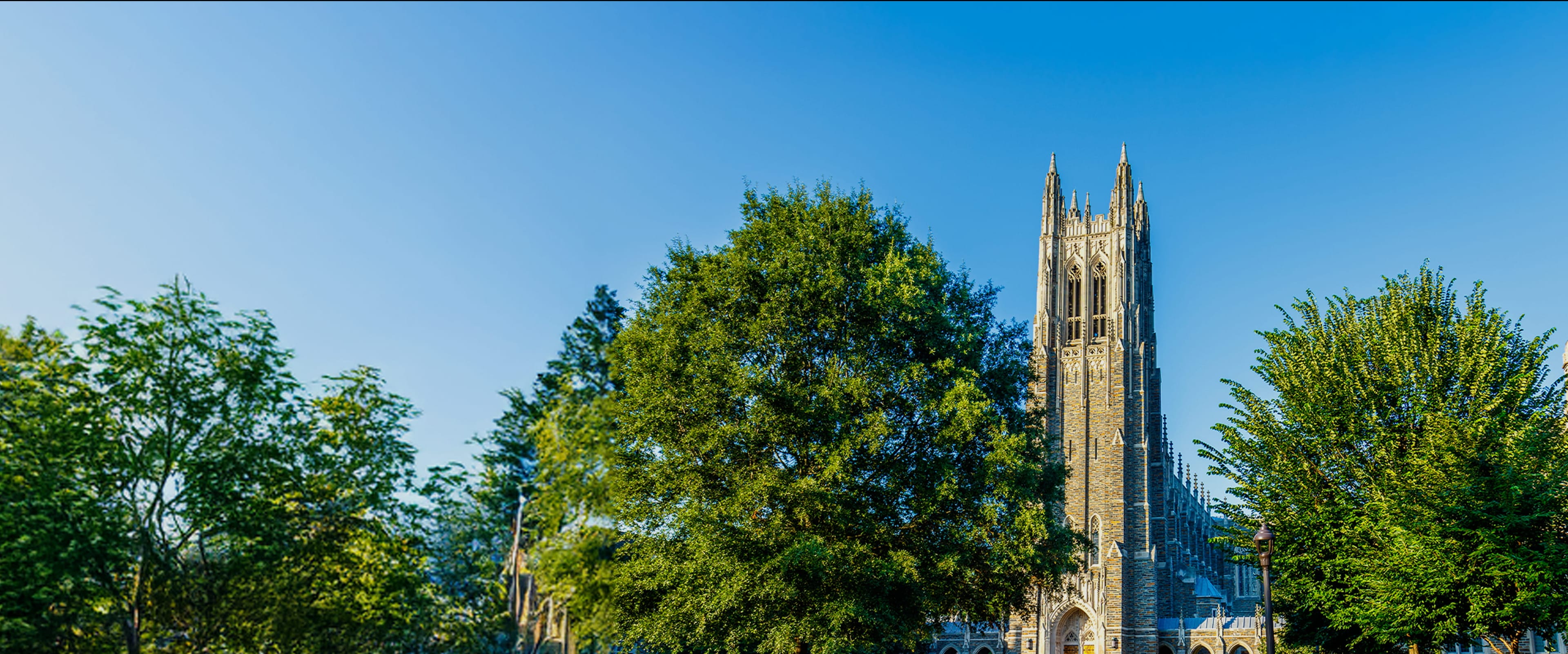 Get Your Application Reviewed by a Former Admissions Officer